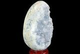 Crystal Filled Celestine (Celestite) Egg Geode - Madagascar #98821-2